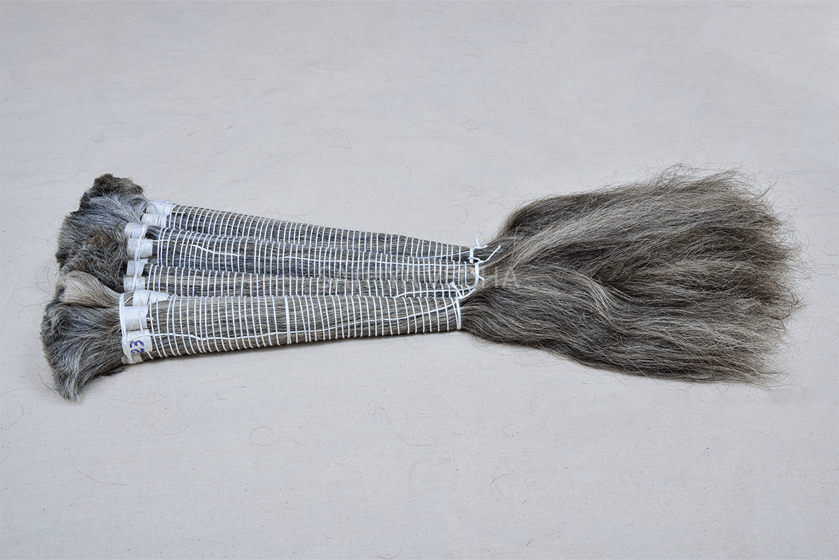 Sathya Vedha Enterprises