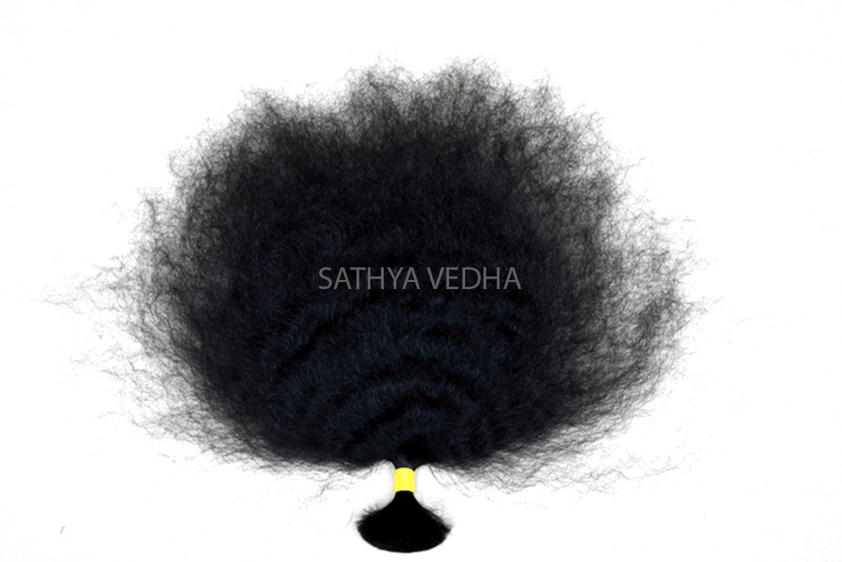 Sathya Vedha Enterprises