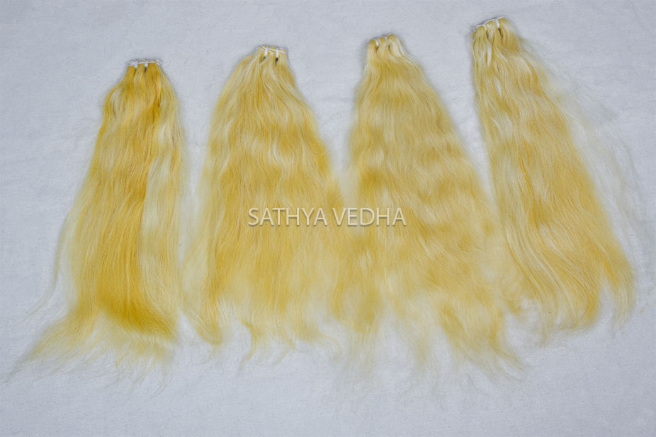 Sathya Vedha Enterprises