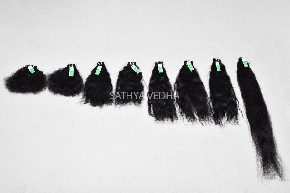 Sathya Vedha Enterprises